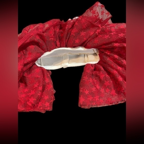 Christmas Dog Dress Lace Tulle Bottom Leash attachment Beige Red embroidery - Picture 4 of 16